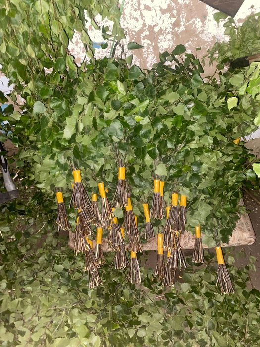 В ПРОДАЖЕ Банные веники