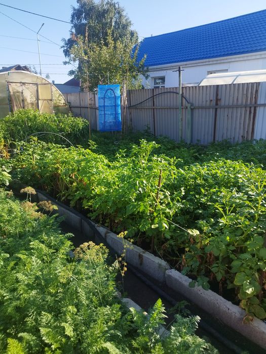 Продам дом-особняк