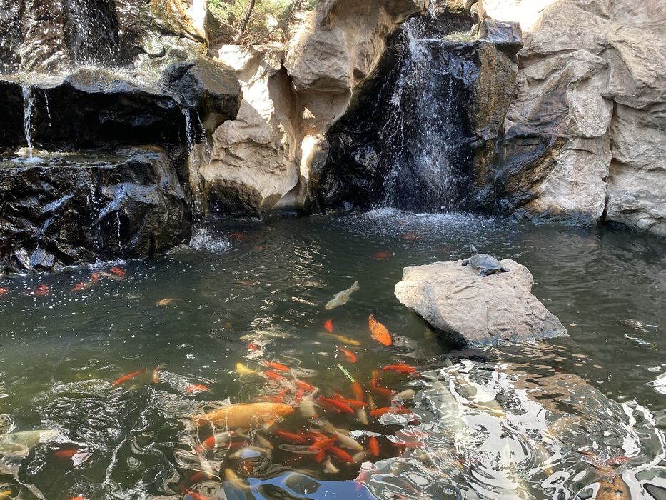 Studio in zona Herastrau