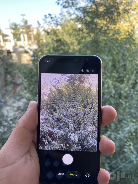 iPhone 11 Pro (White)
