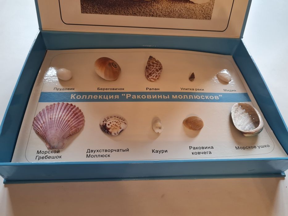 Шикарные наборы для коллекции