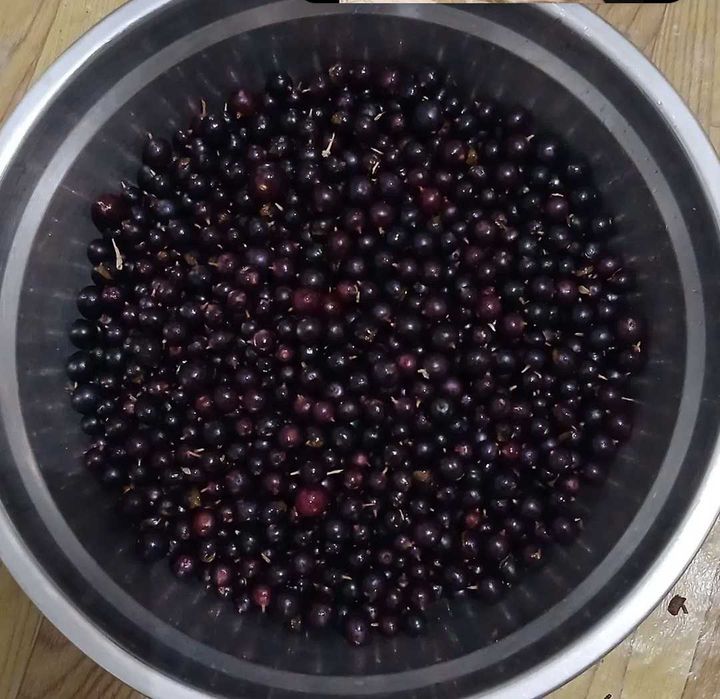 Смородина Смородина