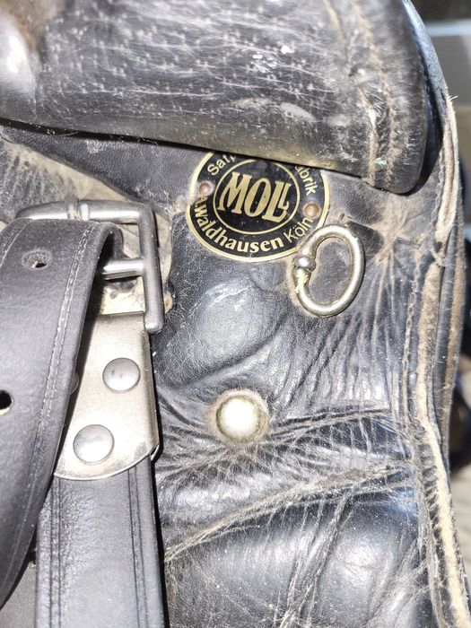 Șei echitație, calarie