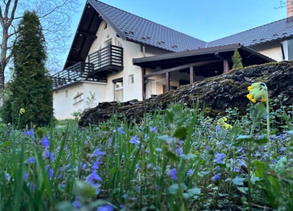 Cabana de inchiriat Doispe Nuci Bistra Muresului