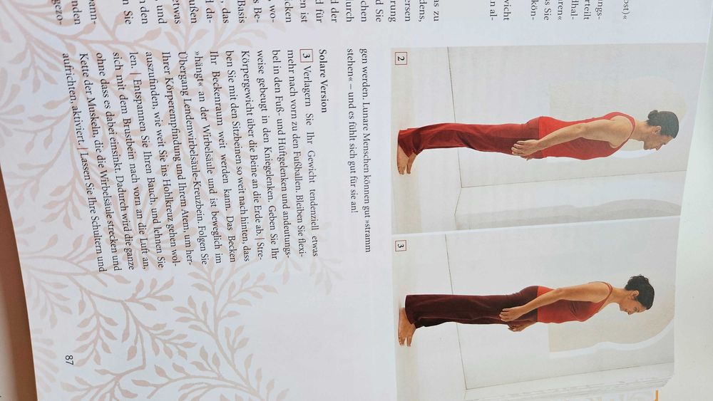 Carte yoga- Anna Trokes- Das grosse yoga-buch