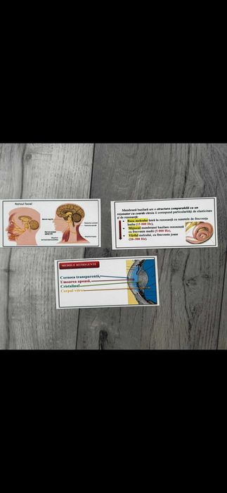 Flashcard admitere medicina