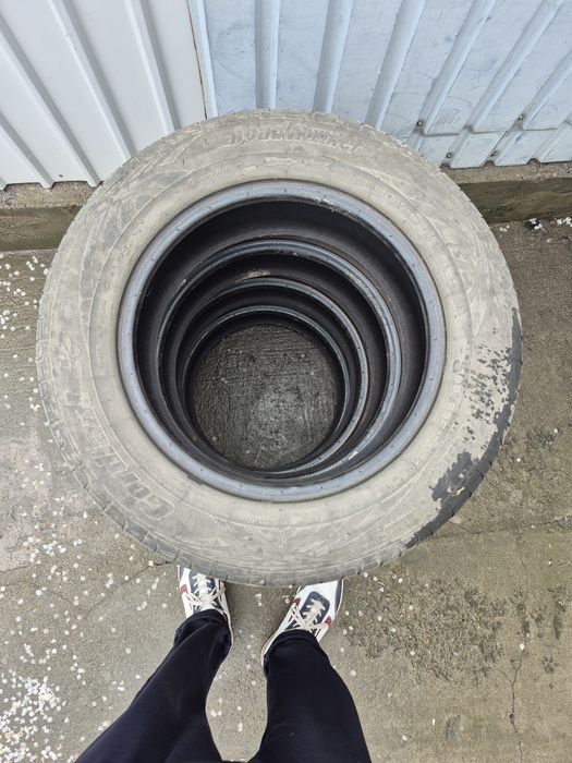 Шина сатамын торт шт