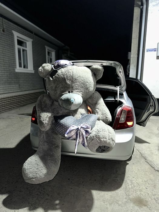 Teddy тедди айик
