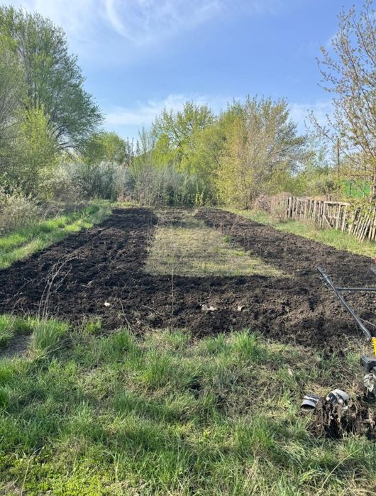 Сдам дачу в аренду