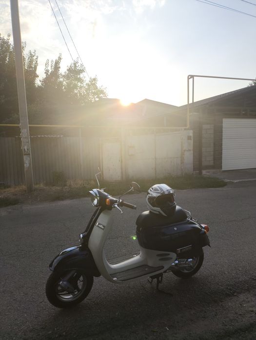 Honda giorno af24