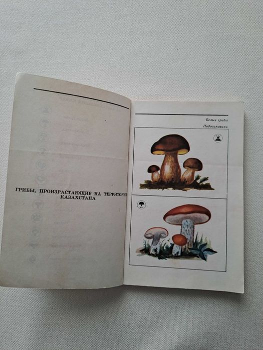 Книга Грибы в Казахстане