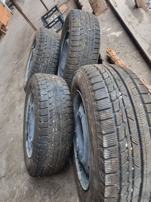 Зимний балонт r15