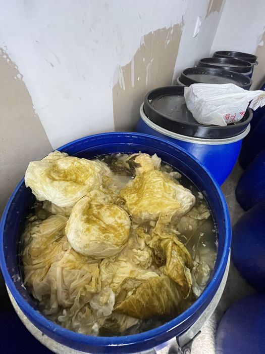 Varza murata soi “De Buzau”