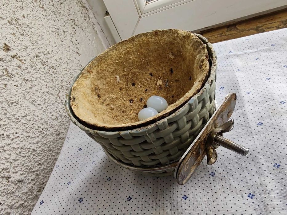 Colivie - Made in Italy + cuib peruși sau canari - Preț FIX