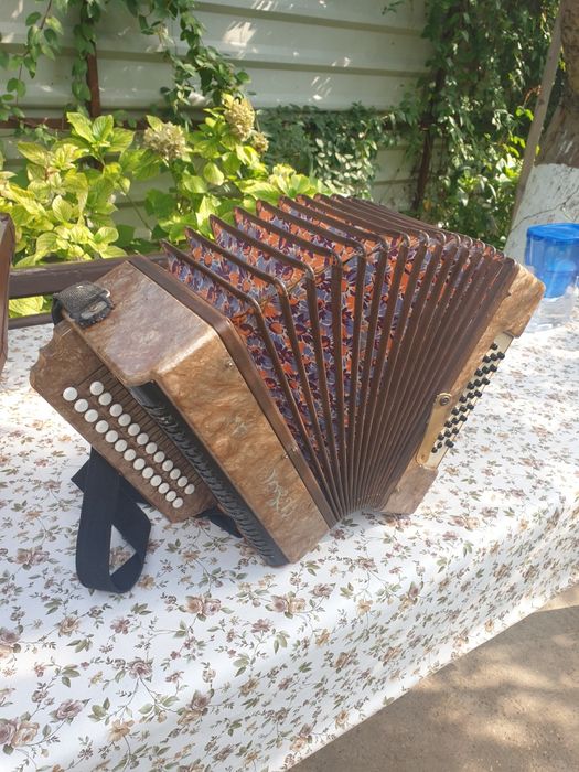 Acordeon,armonica anii '60