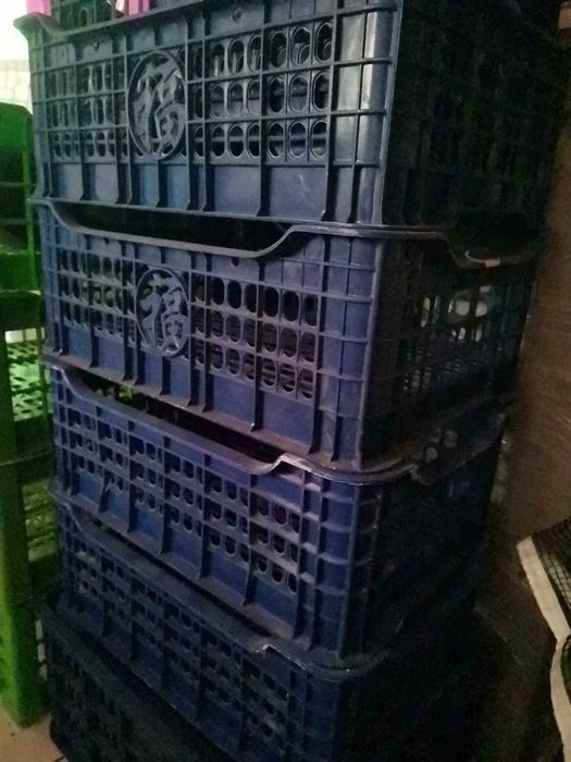 Ящики пластмассовые