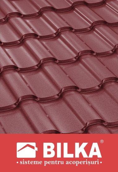 Reparații și acoperișuri