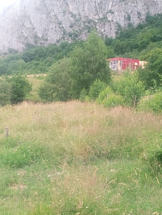 Teren Apuseni parcele