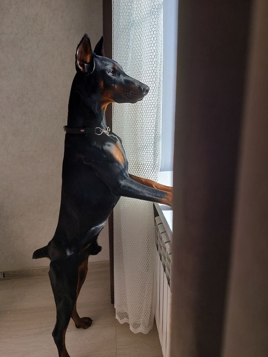 Кабель для вязки