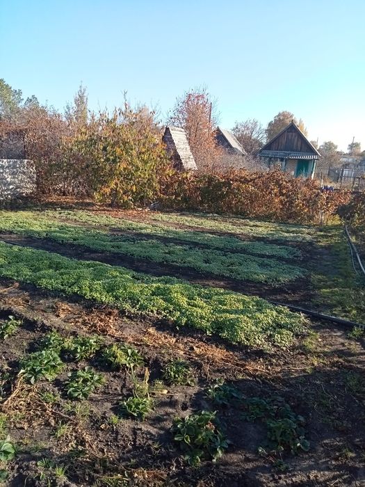 Продам дачный участок