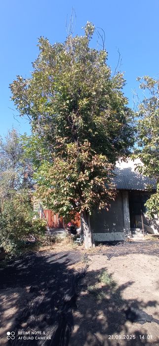 Продам дачу в Городе Алматы! Не пригород!