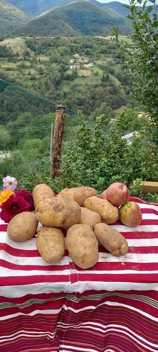 Едри картофи за пълнене!