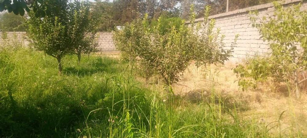 Продается участок на территории новый Ташкент