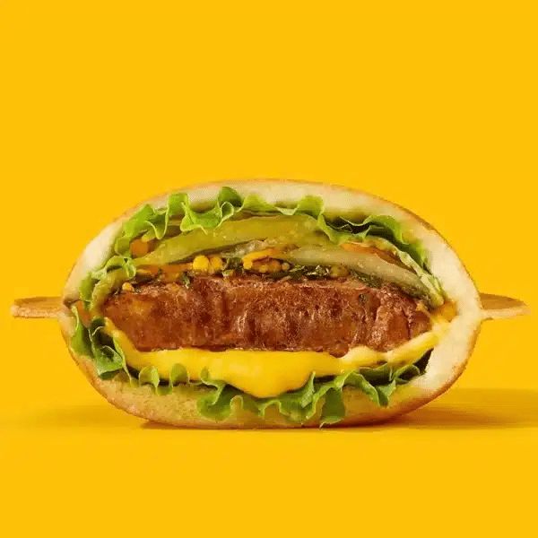 Aparat hamburger OZN