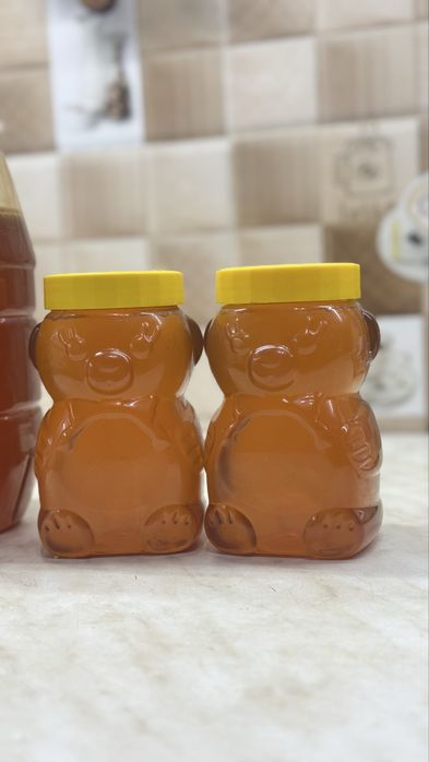 Tozza  Asal Sirdaryo jizzah Assali paxtanki