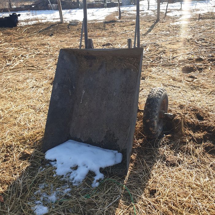 Тачка  арба  екі  дөңгелекті