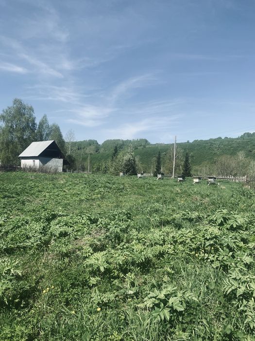 Продам крестьянское хозяйство!