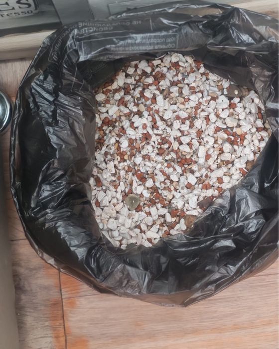 Продам аквариум со всем необходимым !