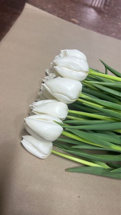 Тюльпаны оптом и в розницу