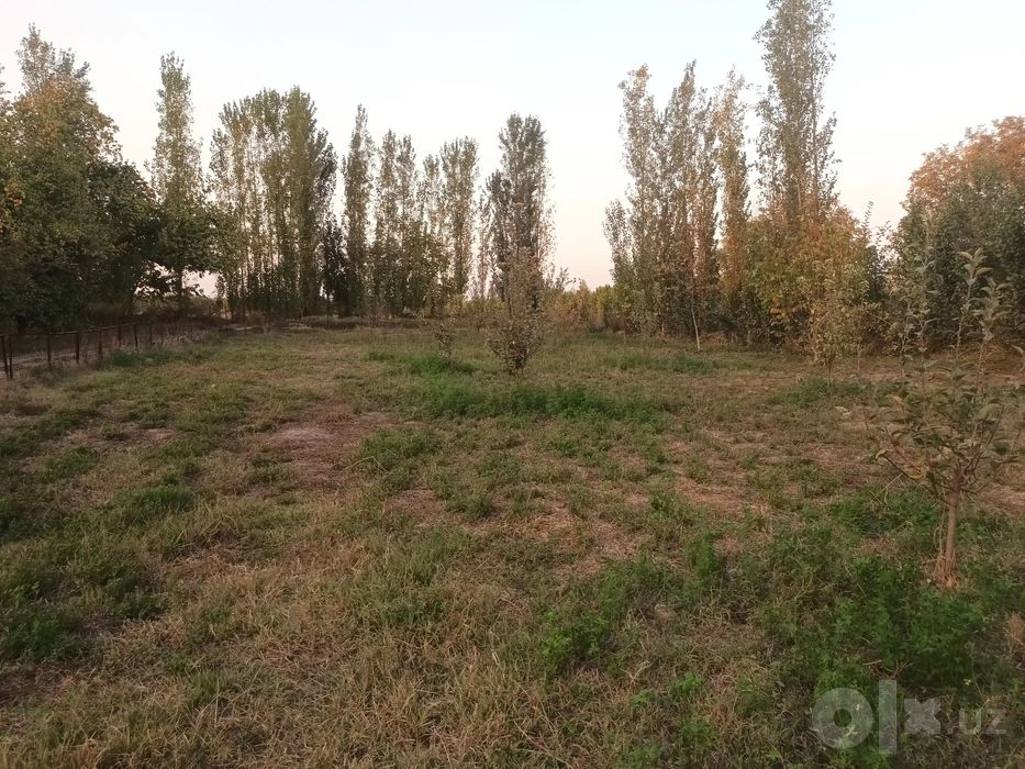 Участка Тошкент шахрига 25 км якинидан сотилади 8 сотих. Сотихи 5,000$