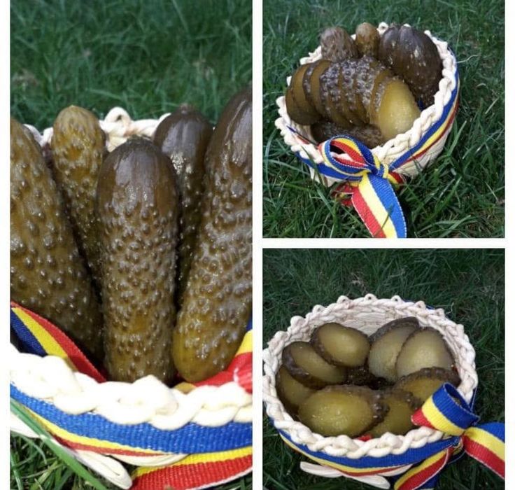 Castraveti murari în saramura producție 2025