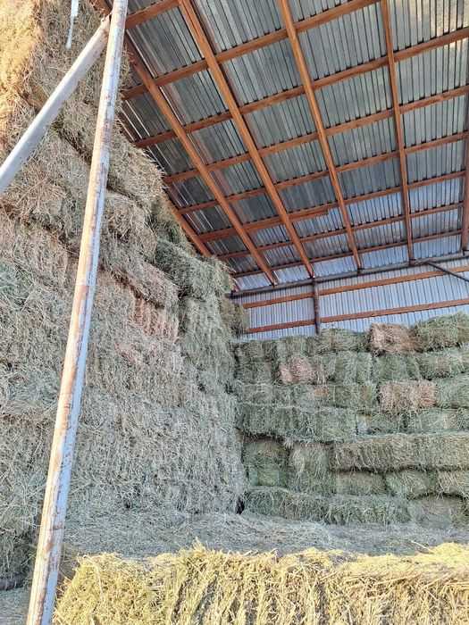 Продаж люцерна; сено(разнотравья) салома