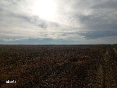 Teren extravilan Lunca Banului, ID: R2944332