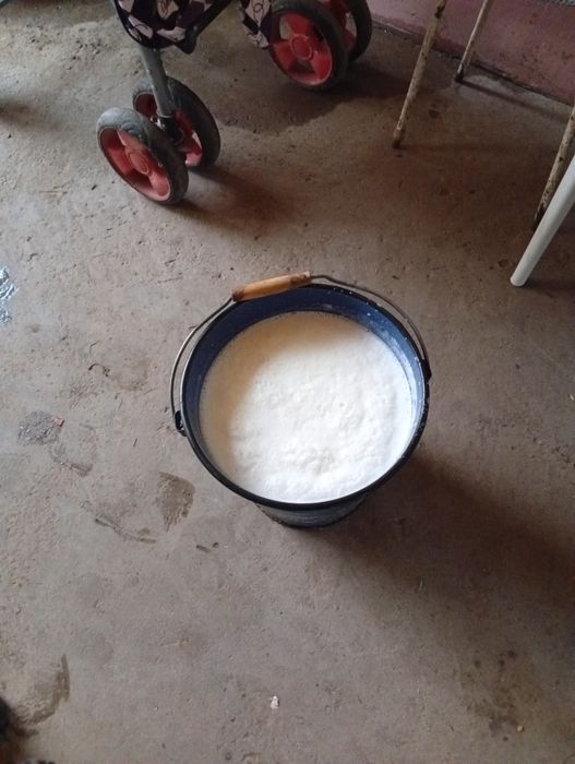Продается Корова