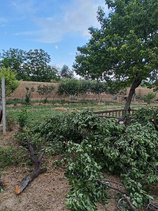 На продаже 16,5 сутук земля цена договорная
