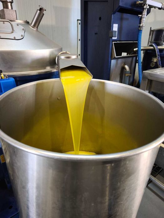 Домашен зехтин – реколта 2025 | студено пресован | 5 кг тенекия