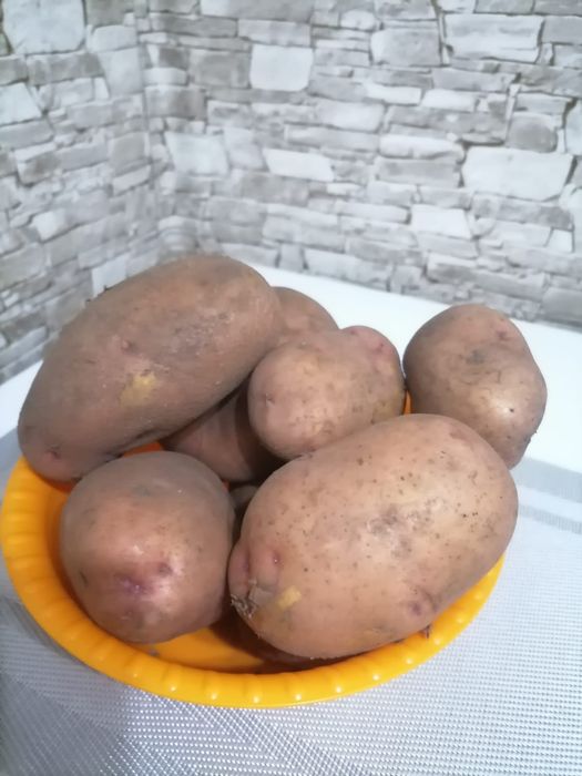 Продам картофель дачный