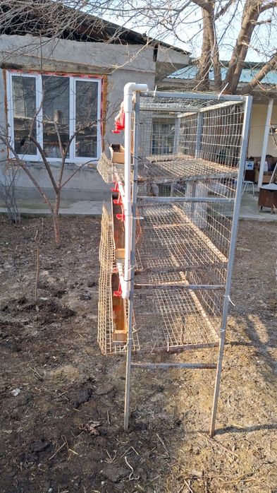 Tovuq Katak Sotiladi