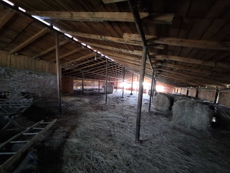 Saivan 480 mp + fanar + coșer + teren intravilan – utilat, curent, Cenade Alba