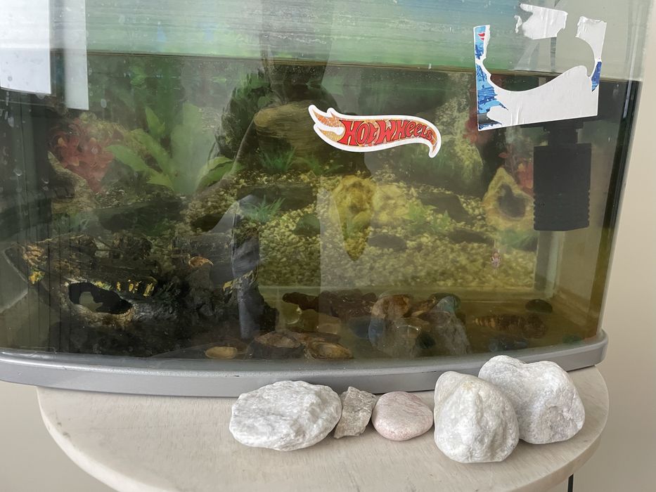 Аквариум 20литр