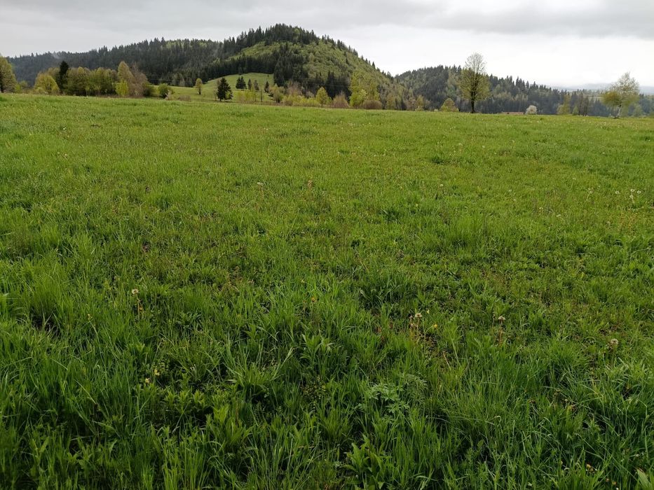 Teren 1.6 ha Sărmaș - Harghita, acces pod E578, potențial de investiție turistica / lac agrement / zona camping  / ferma / parc fotovoltaic
