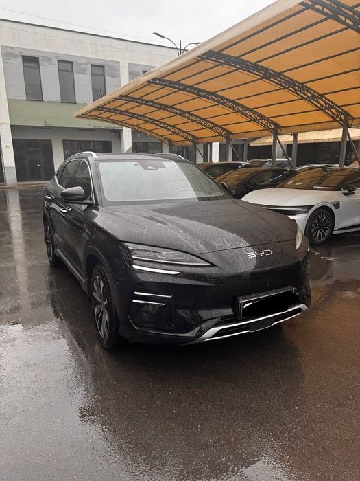 Byd chempon 2025 restayl