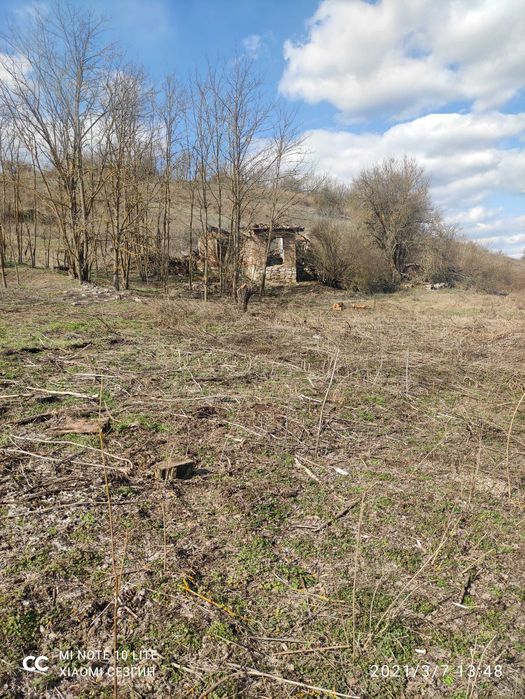 Продава се Парцел в с. Лозница, Област Добрич - 10000 кв.м за 2 €/кв.м - Снимка #2