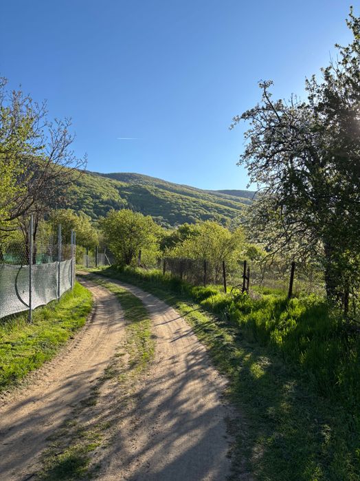 Продава се Парцел в с. Полянци, Област София-област - 1428 кв.м за 38 €/кв.м - Снимка #3