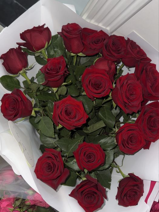 Продам цветы за хорошую цену