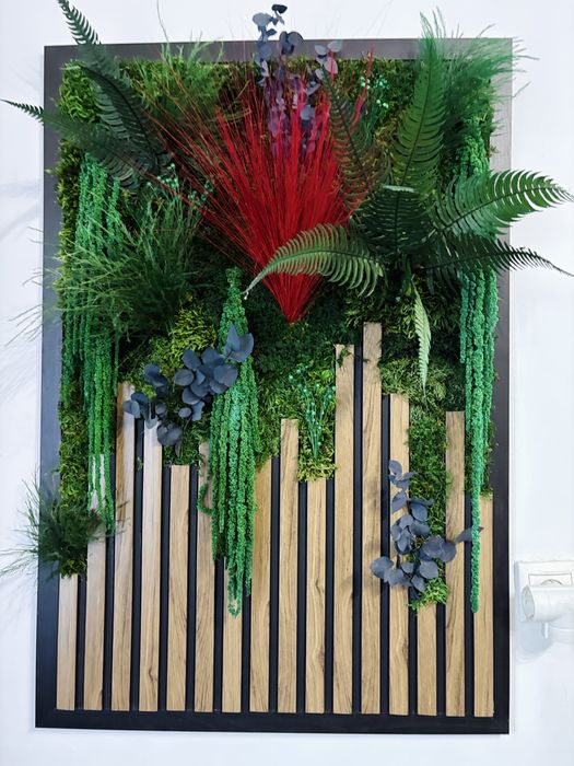 Tablouri cu licheni,muschi si plante stabilizate!